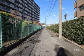 敷地西側の前面道路（南側から）