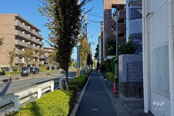 敷地北側の前面道路（西側から）