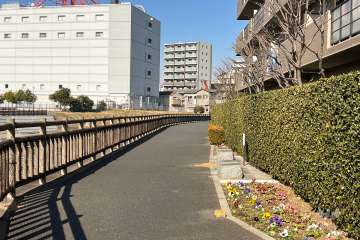 敷地西側の前面道路（南側から）