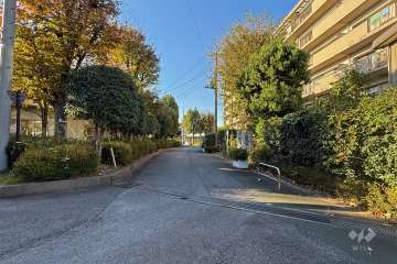 敷地南西側の前面道路（南東側から）
