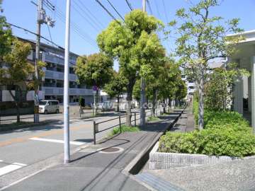 敷地北西側の前面道路