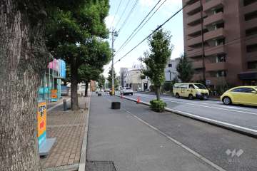 敷地南側の前面道路（西側から）