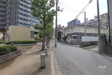 敷地西側の前面道路（北側から）