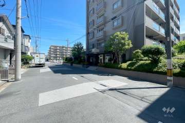 敷地西側の前面道路