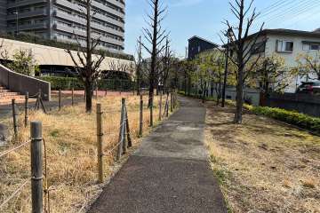 敷地南西側の前面道路（北西側から）