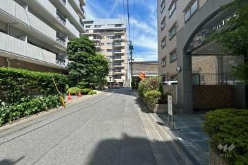 敷地北側の前面道路（西側から）