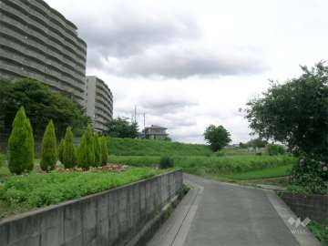 敷地の南側には田畑が広がっています。