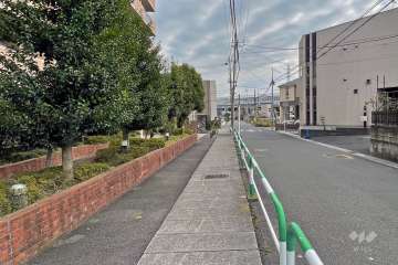 敷地の南側前面道路（西側から）