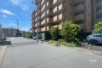 敷地南側の前面道路