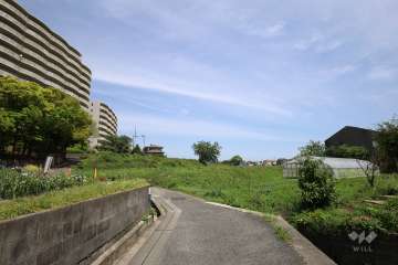 敷地南側の前面道路（東側から）