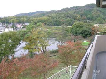 敷地北側の景色