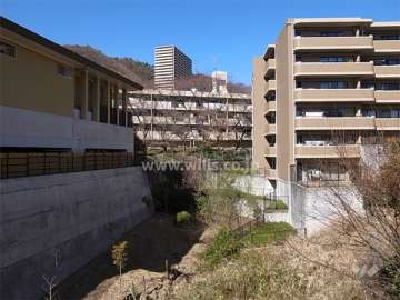 敷地の南側と西側は一段低くなっています。