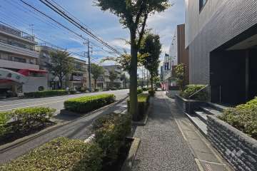 敷地の東側前面道路は、けやき通りです（北側から）。