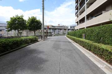敷地南側の前面道路（東側から）