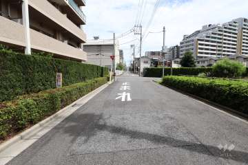 敷地南側の前面道路（西側から）