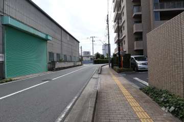 敷地東側の前面道路（北側から）