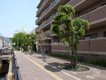 敷地の西側と北側は公開空地になっており、緑地スペースと歩道になっています。