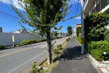 敷地南西側の前面道路（南東側から）