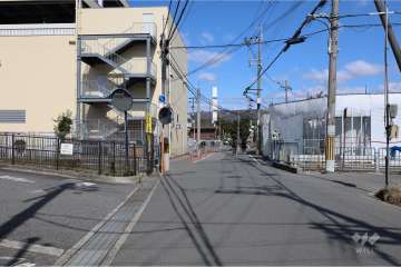 敷地東側の前面道路