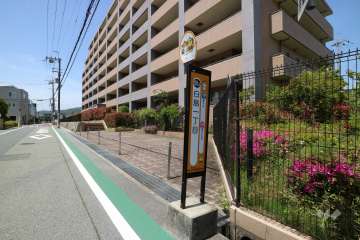 敷地の目の前にあるバス停