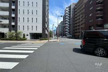 敷地の南側前面道路（西側から）