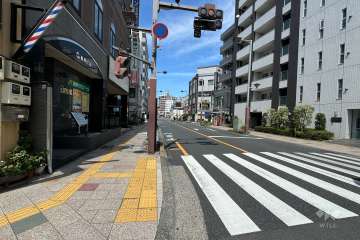 敷地の西側前面道路（南側から）