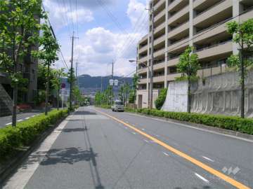 敷地の前面道路。街路樹がきれいで、箕面の山を見渡せます。