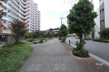 敷地東側の前面道路