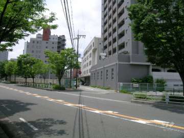 敷地南側の前面道路（並木道がきれいです。）