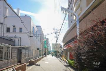 敷地東側の前面道路（北側から）