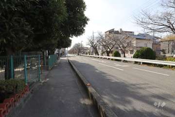 敷地西側の前面道路（北側から）