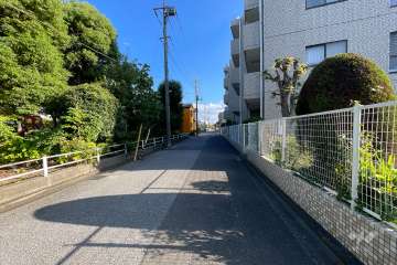 敷地の東側前面道路（北側から）