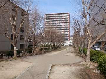 敷地の東側は道を挟んで公園に面しています。