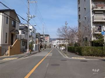 敷地西側は、街路樹がきれいな二車線の通りに面しています。