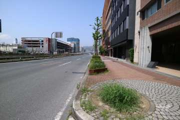 敷地西側の前面道路