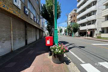 敷地南側の前面道路　