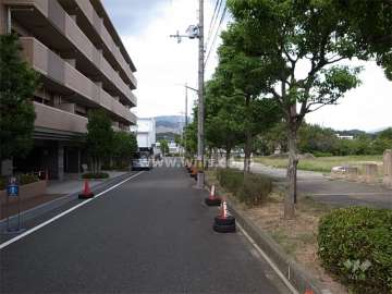 敷地の東側には『北の杜公園』が広がっています。