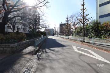 敷地西側の前面道路（北側から）