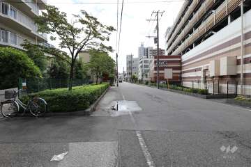 敷地西側の前面道路（北側から）