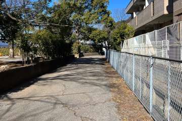 敷地西側の前面道路（南側から）