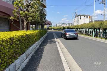 敷地の東側前面道路（南側から）