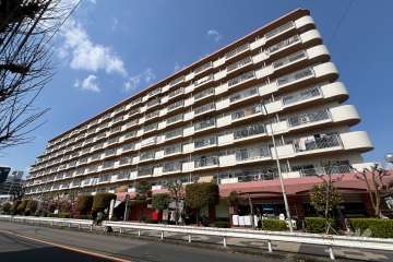 芝園ハイツ1号棟の外観（南側から）