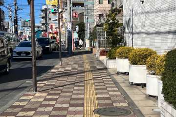 敷地の西側前面道路（南側から）