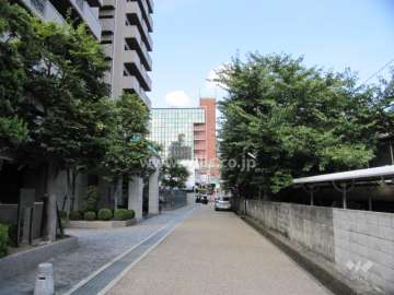 敷地の東側道路