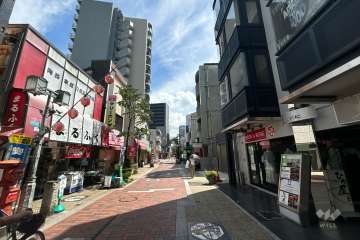 敷地の東側前面道路（南側から）