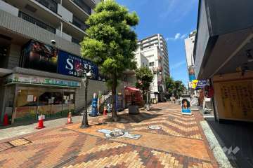 敷地東側の前面道路（南側から）