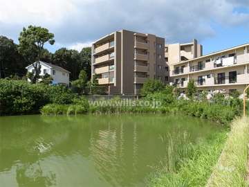 敷地南側には池があります。