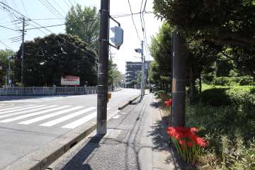 敷地東側の前面道路
