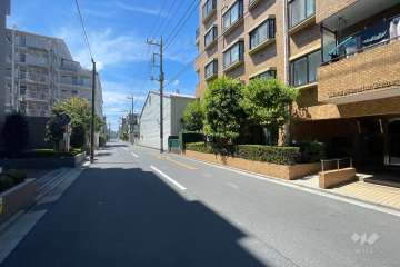 敷地の東側前面道路（北側から）