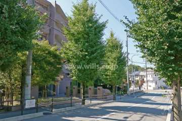 敷地北側前面道路